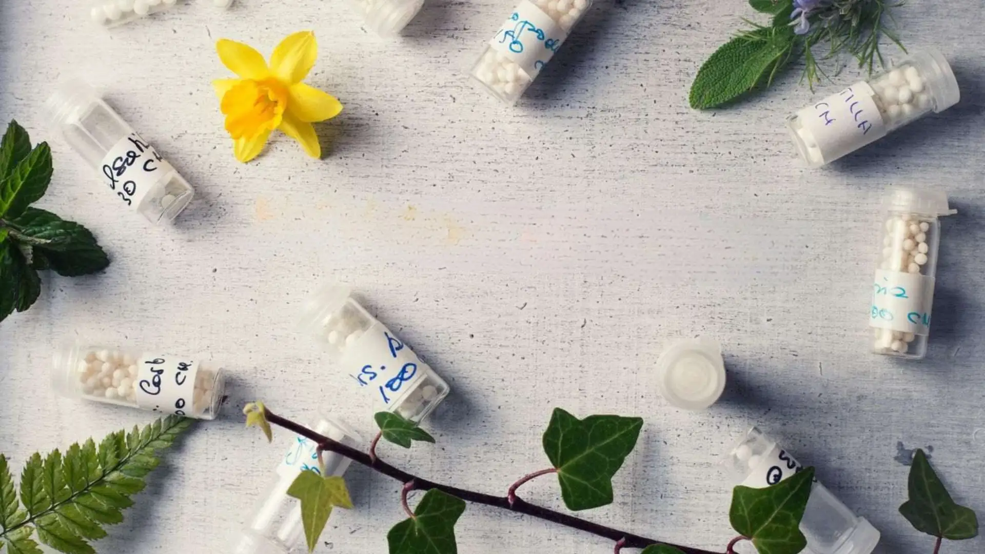 Homeopathy Care