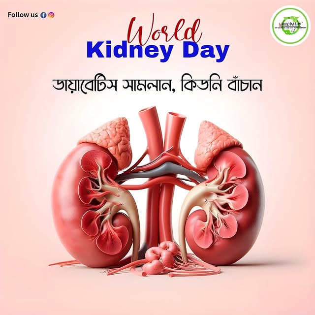 Nanopathy Instagram post about World Kidney Day